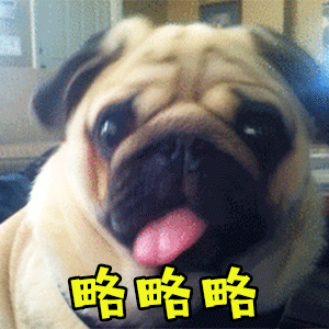 哈巴狗吐舌头做鬼脸 '略略略' 表情包