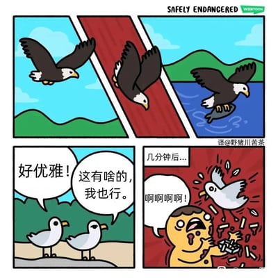 这是一组四格连环卡通漫画，前三格展示了白头海雕在空中优雅地俯冲、入水，顺利捕获一条鱼的流畅过程；第四格分为上下两部分，先是两只海鸥在岸边观望，一只海鸥赞叹白头海雕“好优雅！”，另一只海鸥不屑地表示“这有啥的，我也行。”，随后画面转到“几分钟后...”，一只海鸥扑向正在享用薯条的路人，将薯条弄得到处都是，路人惊恐地大喊“啊啊啊啊！”，通过动物模仿的反差行为制造出强烈的搞笑效果，讽刺了盲目模仿却找错方向的尴尬场面。