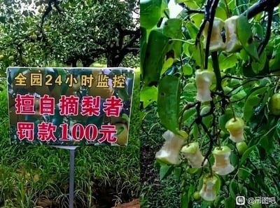 暂无描述