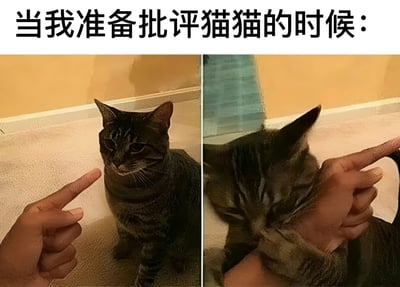 图片为左右对比的静态图文混排，上方文字为'当我准备批评猫猫的时候：'。左侧图中一只虎斑猫正严肃地注视着指向它的手指；右侧图中同一只猫闭眼歪头，露出乖巧表情，手指改为轻柔抚摸。通过前后表情和动作的反差，幽默展现了铲屎官在批评猫咪前被其萌态软化的日常场景。