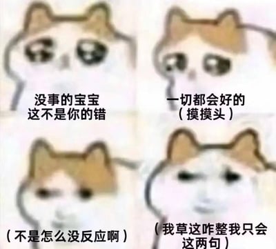 这是一张由四张模糊猫猫头表情包拼接而成的四格图文梗图。前两张猫猫带着温柔共情的表情，配文分别为“没事的宝宝 这不是你的错”“一切都会好的（摸摸头）”，模拟安慰他人的温柔语气；第三张猫猫表情疑惑，配文“（不是怎么没反应啊）”，表现出对对方无回应的困惑；第四张猫猫表情慌张窘迫，配文“（我草这咋整我只会这两句）”，生动展现了想安慰人但只会固定话术，对方没反应就瞬间慌乱的社死又搞笑的场景，图中无谐音梗、双关或暗示内容。