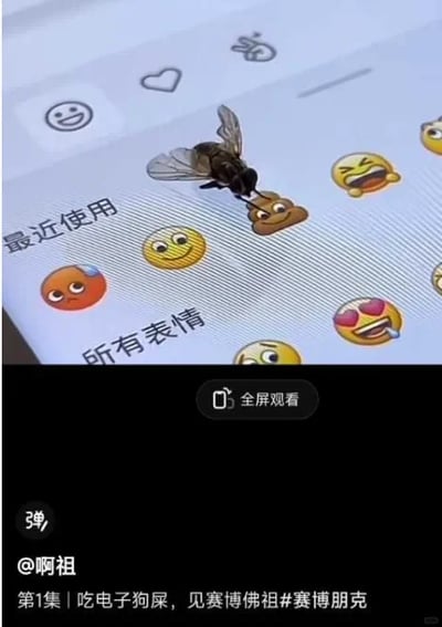 暂无描述