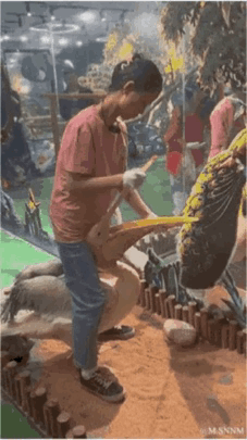 这是一个趣味改编的动态图（GIF），开头呈现的是一位穿粉色上衣的人在室内沙土区域（看起来是室内萌宠乐园），手持袋子似乎在和周边动物互动；随后画面被P图改编，人物的动作被衔接成类似拿着锄头耕地的样子，原本的袋子被替换成锄头，背景也改成了类似农场的场景，利用动作的相似性制造出强烈的反差搞笑效果，没有双关、谐音梗或暗示类内容。