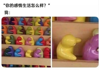 这是一张用来调侃单身状态的左右对比梗图。左侧画面展示了满满一货架的彩色陶瓷小摆件，几乎所有摆件都是两两相拥的成对状态，营造出周围全是情侣的热闹氛围；右侧是货架局部的放大图，一个黄色的小摆件孤零零地缩在货架角落，没有其他摆件和它互动，显得格外落寞。图片上方配有文字“你的感情生活怎么样？我：”，用这个充满反差的画面，精准比喻自己在情侣环绕的环境里单身的处境，用可爱的摆件场景传递出单身人士既搞笑又无奈的自嘲情绪。