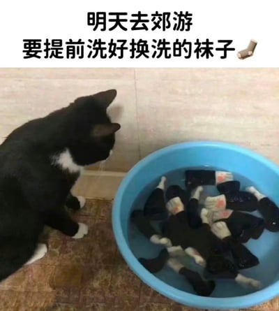 图中上方配有文字“明天去郊游 要提前洗好换洗的袜子🧦”，一只黑白奶牛猫蹲在蓝色洗衣盆旁，低头盯着盆里的“袜子”——这些袜子被修图改成了带有类似人手的小人样式，看起来像是多个小人泡在水里，猫咪似乎正好奇又疑惑地观察着，通过视觉错位和P图制造出荒诞搞笑的效果，调侃出行前准备洗袜子的日常场景。