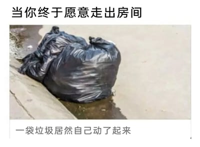 这是一张充满自嘲意味的搞笑梗图，采用图文结合的形式呈现。图片上方配有文字“当你终于愿意走出房间”，中间是放置在路边台阶上的两大袋黑色垃圾袋的实拍照片，垃圾袋下方地面有深色污渍；图片底部配有文字“一袋垃圾居然自己动了起来”。整张图通过夸张的比喻，将长期宅在家后终于出门的自己调侃成“会动的垃圾”，以此自嘲宅家后状态糟糕、与外界脱节的模样，用幽默的方式引发有类似宅家经历的网友共鸣。