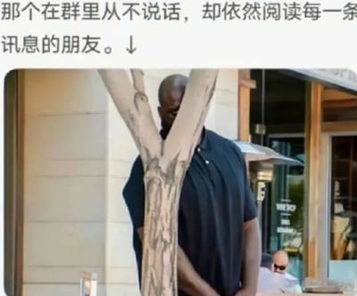 图片上方配有文字'那个在群里从不说话，却依然阅读每一条讯息的朋友。'，下方是一张沙奎尔·奥尼尔躲在一棵小树后面暗中观察的照片。通过奥尼尔庞大身材与细小树木形成的反差，幽默地表现了那些在群聊中从不发言但默默关注所有消息的人。