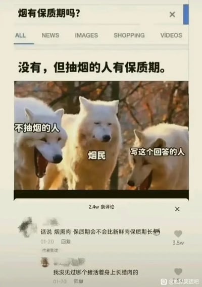这是一张竖屏手机格式的社交媒体截图，内容围绕“烟有保质期吗？”展开黑色幽默式的问答与评论互动。顶部是搜索问题“烟有保质期吗？”，下方的回答为“没有，但抽烟的人有保质期。”，并配有三只白色犬类的图片，分别标注对应角色：标注“不抽烟的人”的犬类张嘴大笑，神态轻松；标注“烟民”的犬类表情无奈、眉头微蹙；标注“写这个回答的人”的犬类低头憋笑，神态狡黠，用动物神态对应不同角色的状态，强化调侃效果。下方评论区有两条高赞互动评论，第一条评论内容为“话说 烟熏肉 保质期会不会比新鲜肉保质期长😏”，获得3.5万赞且被作者点赞；第二条回复内容为“我没见过哪个猪活着身上长腊肉的”，延续了黑色幽默的玩梗逻辑，用烟熏肉、腊肉的比喻进一步调侃抽烟对健康的危害。整个内容属于典型的地狱笑话，用夸张、戏谑的方式传递抽烟有害健康的观点，引发网友趣味互动。