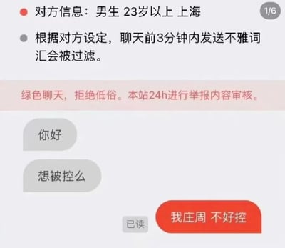 这是一张聊天记录截图，显示了一个有趣的对话场景。对方信息显示为"男生 23岁以上 上海"，系统提示聊天前3分钟内发送不雅词汇会被过滤，并强调"绿色聊天，拒绝低俗。本站24h进行举报内容审核。"。对话中，对方先发送"你好"，接着问"想被控么"，而回复则是"我庄周 不好控"，这是一个巧妙的双关，利用了游戏《王者荣耀》中英雄庄周的名字和"不好控"的特性来回应对方的暗示。