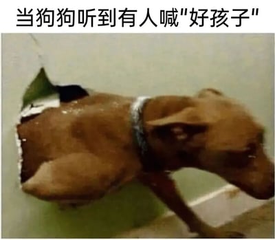 一张展示狗狗听到表扬时反应的图片，图中棕色狗狗戴着白色项圈，身体呈现出快速移动的模糊状态，表现出急切和兴奋的情绪，生动展现了宠物对表扬的典型积极反应。