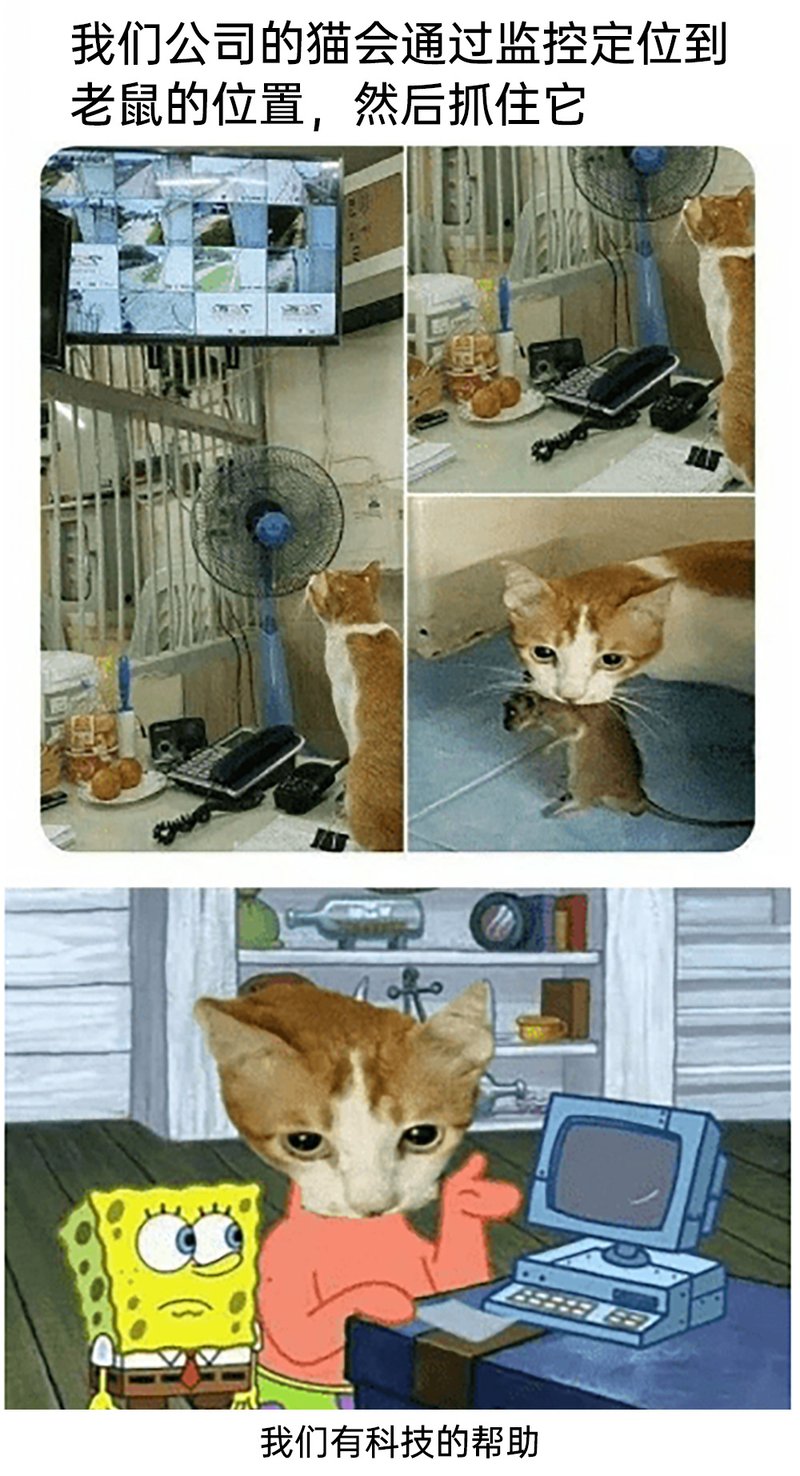 办公室捕鼠官