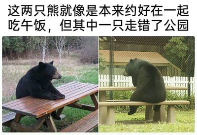 这是一张左右拼接的趣味图文梗图，左侧画面中一只黑熊将前爪搭在野外的木质野餐桌上，坐着看向画面右侧，背景是带有树木的自然草地；右侧画面里另一只黑熊背对着镜头，坐在公园的长椅上，身体微微前倾，背景是带有围栏和小建筑的公园区域。图片上方配有文案“这两只熊就像是本来约好在一起吃午饭，但其中一只走错了公园”，以拟人化的脑洞解读，将两只黑熊的真实姿态赋予人类社交场景的乌龙感，仿佛它们是赴约时因走错地方而没能碰面，各自等待的模样既搞笑又略带失落，用动物的真实状态制造出贴近人类日常乌龙事件的幽默效果。