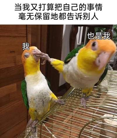 这是一张充满共鸣感的搞笑表情包，上方配有总起文字“当我又打算把自己的事情毫无保留地都告诉别人”，图中是两只凯克鹦鹉，左边标注“我”的鹦鹉闭眼，呈现出即将倾诉的神态，嘴被右边标注“也是我”的鹦鹉用爪子紧紧捂住，右边的鹦鹉眼神严肃、姿态坚定。这张图通过拟人化的手法，生动刻画了人们在产生强烈倾诉欲时，内心的理智自我及时出面阻止，提醒自己不要过度暴露隐私、说出不该说的话的心理活动，精准还原了“话到嘴边又强行忍住”的真实情绪，让很多人能从中看到自己的影子，因此在社交平台被广泛传播，用来表达自我克制、提醒自己守好边界的心情。