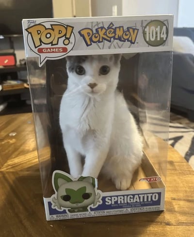 一张创意改图，展示了一个Funko Pop! Pokémon系列1014号Sprigatito的手办包装盒。盒子上印有宝可梦和Funko Pop的标志，但透明窗口内没有出现预期的草属性御三家Sprigatito手办，而是一只真实的灰白色猫咪坐在里面，形成了有趣的视觉反差。猫咪有着大大的圆眼睛，表情呆萌地直视前方，与包装盒上原本应该出现的精灵宝可梦角色形成幽默对比。