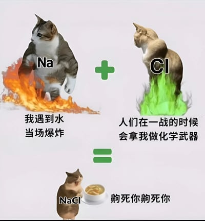 图片采用上下结构的图文混排形式，幽默演绎化学元素反应。上部分左侧是一只标注“Na”的猫，脚下有橙色火焰，配文“我遇到水当场爆炸”；右侧是一只标注“Cl”的猫，脚下有绿色火焰，配文“人们在一战的时候会拿我做化学武器”。下部分是一只标注“NaCl”的猫，捧着一碗汤，配文“齁死你齁死你”。通过猫咪拟人化的方式，夸张表现钠(活泼遇水反应)和氯(曾用作化学武器)结合成氯化钠(食盐)后“齁人”的反差萌效果，属于科学科普类幽默梗图。