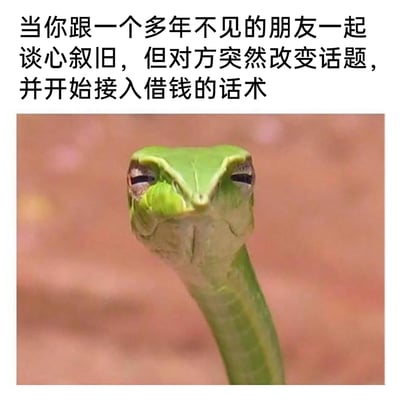 这是一张趣味梗图，上方配文描述了一个常见的尴尬社交场景：当用户正和多年未见的朋友暖心叙旧时，对方却突然转变话题，开始铺垫借钱的相关话术。下方搭配的绿瘦蛇照片中，蛇的眼神半眯，面部神态看起来充满了嫌弃、无语，仿佛看透了对方的目的性，精准地还原了此刻当事人内心那种热情被浇灭、对这种带有目的的社交感到反感和无奈的复杂情绪，用动物拟人化的方式调侃了这种现实中的社交窘境。