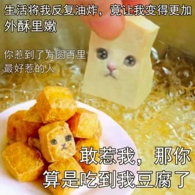这是一张经过P图创作的搞笑表情包，创作者将猫咪的脸合成在豆腐块上，呈现两种状态：一块未油炸的白豆腐猫被手拿着，即将放入油锅中，旁边是已经炸好的金黄豆腐猫堆放在白色盘子里。搭配的文字玩了双关与自嘲的梗：“生活将我反复油炸，竟让我变得更加外酥里嫩”用油炸豆腐的过程比喻生活的磨砺，调侃自己在生活的打磨下反而“更有韧性”；“你惹到了方圆百里最好惹的人”先放低姿态塑造软萌人设，接着“敢惹我，那你算是吃到我豆腐了”用“吃豆腐”的双关语（既指食用炸豆腐，又对应“占人便宜”的俗语）来放软狠话，整体风格诙谐幽默，用美食意象表达了在生活压力下的自嘲与带点小硬气的情绪。