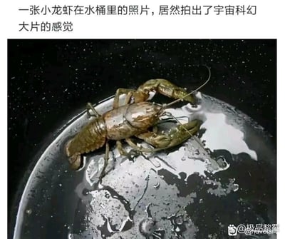 这是一张充满创意的摄影作品，图片上方配有文字说明“一张小龙虾在水桶里的照片，居然拍出了宇宙科幻大片的感觉”。画面主体是一只真实的小龙虾，趴在带有水渍的水桶边缘；深色背景上的细碎白点模拟出宇宙星空的效果，水桶里的水渍反光与纹理则酷似外星星球的表面，通过视觉错位的巧思，让日常的小龙虾场景呈现出巨型生物登陆外星的科幻大片既视感，无谐音梗或双关暗示。