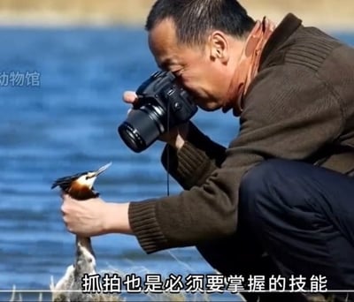 图片中一名摄影师蹲在水边，手持相机，另一只手抓着一只水鸟，仿佛在为其“摆拍”，以便捕捉理想照片。画面下方配文字“抓拍也是必须要掌握的技能”，形成语义上的反差和幽默效果，暗指所谓的“抓拍”其实是字面意义上的抓住再拍，带有明显的调侃和讽刺意味。

**双关/谐音梗说明**：
“抓拍”在摄影行业本指自然、抓取瞬间，但图中则被用成了“真的用手去抓”，构成讽刺效果，形成双关梗。