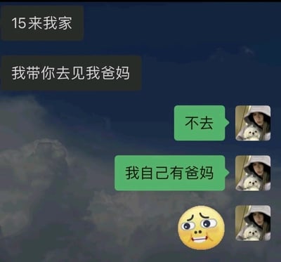这是一张即时通讯软件的聊天记录截图，背景为深色云层样式。左侧深色聊天气泡是邀约者的消息，内容为“15来我家”“我带你去见我爸妈”，表达了想要带对方见自己父母的邀约；右侧绿色聊天气泡是回复者的消息，回复者的头像是一位抱着白色小狗的人，回复内容为“不去”“我自己有爸妈”，最后还发送了一个眉头微皱、嘴角咧开的尴尬黄色表情。回复者利用字面意思误解了邀约者“见对象父母”的含义，以“自己有爸妈”的无厘头理由拒绝，制造出荒诞搞笑的效果。