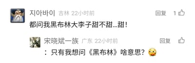 这是一张社交媒体评论区的横屏截图，展示了两条来自不同地域用户的互动评论。第一条评论来自吉林的用户“지아바이”，内容是回应他人关于黑布林大李子甜度的问题，明确表示这种李子很甜，该评论获得了1个点赞；第二条评论来自广东的用户“宋晓斌一族”，用户以带吃瓜表情的发言，表达了自己对“黑布林”这个名称的陌生，发出了对其含义的疑问。黑布林是一种李子的品种，也就是第一条评论中提到的黑布林大李子，两条评论没有双关、谐音梗等特殊内容，只是普通的用户互动。