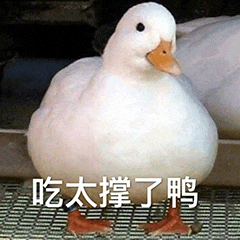 图片中是一只站立在金属网格上的白色鸭子，身体圆滚滚显得十分肥胖，眼神呆萌。图片下方配有文字“吃太撑了鸭”，利用“鸭”与“呀”的谐音制造可爱幽默的效果，整体给人一种轻松搞笑的感觉。