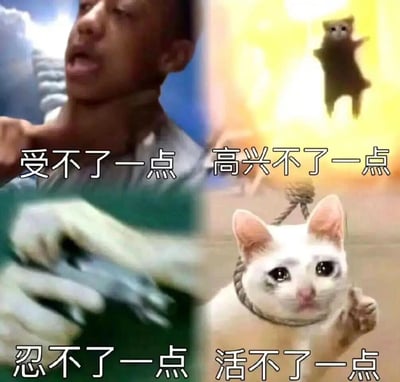 该图为四宫格拼贴表情包，每格搭配不同场景与文字：左上为皱眉张嘴的人物配文“受不了一点”，右上为悬浮的猫配文“高兴不了一点”，左下为模糊的手部动作配文“忍不了一点”，右下为戴项圈的委屈猫配文“活不了一点”。整体通过“一点”后缀的重复使用，夸张表达各类强烈情绪，形成幽默效果。