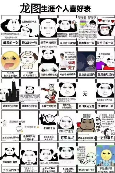 这是一张以「龙图生涯个人喜好表」为主题的网络梗图合集，采用表格式排版，将各类经典的熊猫头「龙图」（以辱骂、戏谑为核心的网络表情包）划分为24个趣味分类，包括「最爱的一张」「最龙的一张」「最喜欢的画面」「最难懂的一张」等，每个分类下搭配对应的梗图和文字说明，全方位展示龙图文化的多样玩法。
其中包含多处谐音梗与恶搞，比如「花有重开日 妈死不复生」是对经典诗句的恶意改编，「这里有妈的气息」「你娘死了宝贝」等则是龙图标志性的辱骂类玩梗内容。