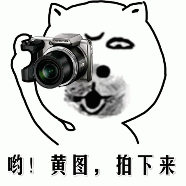 Doge拿相机拍黄图梗图