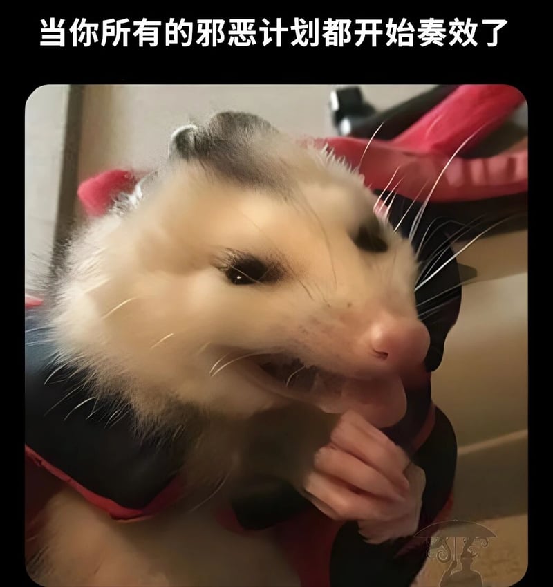 负鼠