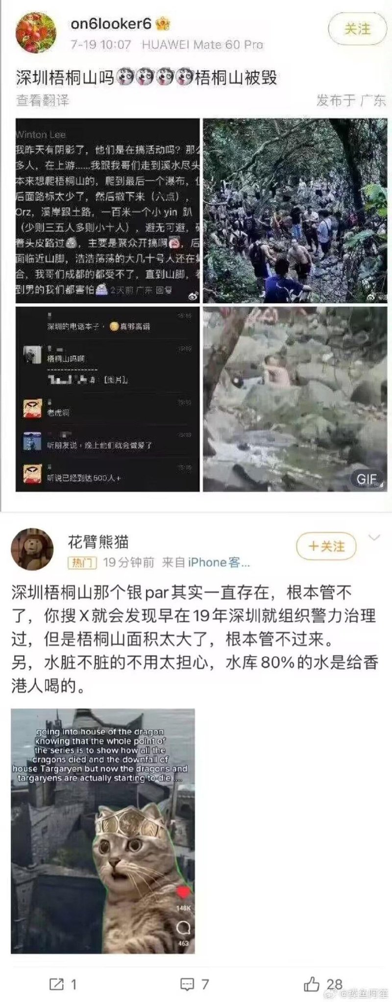 龙之家族