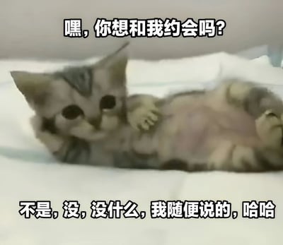 图片中是一只灰白相间的小猫，正躺在白色的床单上，抬头睁着大大的眼睛看向前方。图片上方配有文字“嘿，你想和我约会吗?”，下方则是“不是，没，没什么，我随便说的，哈哈”。整体场景通过小猫可爱的形象和前后反差的文字，营造出一种害羞、试探后又立刻怂了的幽默效果，仿佛小猫在模仿人类害羞表白后又尴尬撤回的样子。