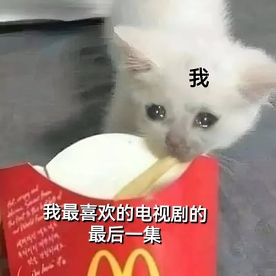一只表情悲伤的白色小猫从红色的麦当劳薯条盒中探出头来，上方有文字"我"，下方有文字"我最喜欢的电视剧的最后一集"，用可爱的小猫形象表达了对喜爱电视剧完结的不舍之情。