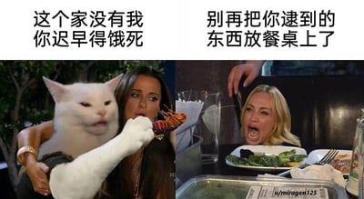 这是一张左右拼接的P图创作梗图，左侧是头部替换为“暴躁猫”（Smudge the Cat）的形象，它的爪子抓着一只蟑螂，配文“这个家没有我你迟早得饿死”，将猫咪捕猎蟑螂的行为拟人化，表现出猫咪仿佛把蟑螂当作“口粮”投喂主人、自我感觉功劳很大的状态；右侧是餐桌场景，人物头部替换为愤怒大喊的女性形象，配文“别再把你逮到的东西放餐桌上了”，还原了现实中宠物将捕猎的小虫子带回家时，主人的崩溃与无奈情绪。整图通过宠物与主人的视角反差，制造出强烈的搞笑效果，精准戳中养宠人群的共鸣点。