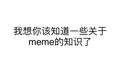 这是一张纯文字的静态单图，背景为纯白色，无任何多余图案或装饰，仅用清晰的黑色字体展示文字内容“我想你该知道一些关于meme的知识了”。该图的核心作用是作为引导，向观看者传递即将展开meme相关知识科普的信号。meme一般指在互联网环境中广泛传播的、带有特定文化内涵和娱乐属性的梗图、表情包、短视频片段等内容，这类内容常通过模仿、改编等形式在社交平台快速扩散，成为网络文化的组成部分，往往能反映当下的网络热点、群体情绪或特定圈层的文化共识。