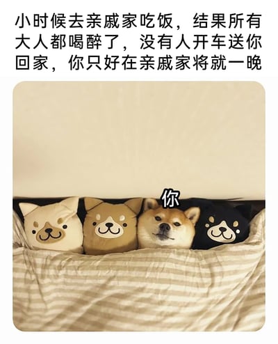 这是一张搞笑梗图，图片上方配有文字说明场景：‘小时候去亲戚家吃饭，结果所有大人都喝醉了，没有人开车送你回家，你只好在亲戚家将就一晚’。图片主体是一张床铺，被窝里并排躺着三个柴犬样式的抱枕和一只真实的柴犬，其中真实柴犬的位置被标注了‘你’，用这个形象的场景来比喻小时候自己在亲戚家留宿时，和不那么亲近的亲戚们凑在一起，那种尴尬、局促又无奈的心情，通过真实动物和抱枕的反差感制造出搞笑的效果，让人共情童年时的类似经历。