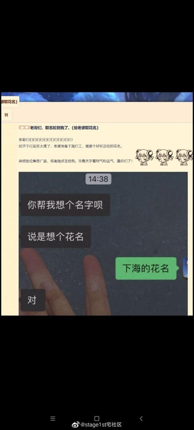 这张图片展示了一个职场新人在网络社区求助取花名的场景。上方是论坛帖子正文，发帖人称自己刚入职需要一个好听正经的花名，下方是聊天记录截图，显示有人建议"下海的花名"，形成幽默效果。

图片使用了双关语梗："下海"既可以理解为普通的