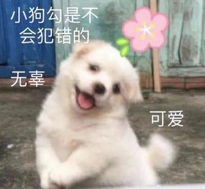 这是一张软萌风格的宠物表情包，主体是一只白色的幼犬，它张着嘴露出舌头，歪着头看向镜头，表情活泼又无辜，姿态显得十分可爱。图片上搭配了“小狗勾是不会犯错的”“无辜”“可爱”这些文字，其中“小狗勾”是“小狗”的谐音写法，用来增添萌感，整体氛围治愈又有趣，常被用于聊天中表达自己没有犯错，或是撒娇卖萌推卸小责任的情绪，能有效缓和聊天氛围。