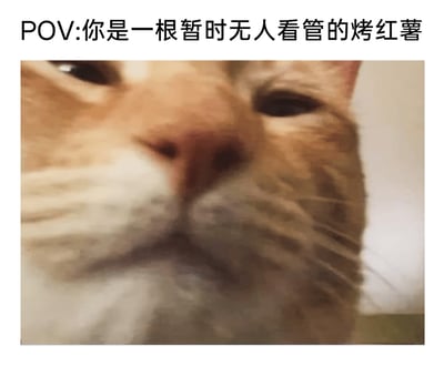 这是一张图文结合的趣味梗图，上方配有文字“POV:你是一根暂时无人看管的烤红薯”，下方是一张橘色猫咪的脸部特写照片。猫咪的脸部形态、颜色与烤红薯的外观存在微妙的相似感，通过POV（第一视角）的设定，让观看者代入成无人看管的烤红薯，仿佛正被这只眼神半眯、面部凑近的猫咪嗅闻、觊觎，营造出滑稽又充满画面感的搞笑氛围，利用猫咪好奇觊觎的神态和外形，制造出拟人化的趣味联想。