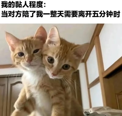 图片上方配有文字'我的黏人程度：当对方陪了我一整天需要离开五分钟时'，下方是两只橘色小猫紧紧依偎在一起的照片。小猫耳朵竖起，眼睛睁大看向镜头，姿态亲密，用可爱的猫咪形象幽默地比喻了在亲密关系中，当对方短暂离开时的强烈黏人反应。