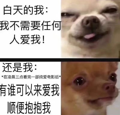 这是一张左右对比的梗图，通过两张表情截然不同的吉娃娃照片，幽默展现了人们白天和深夜的情绪反差。左边图片中，吉娃娃吐着舌头微笑，配文“白天的我：我不需要任何人爱我！”，表现出自信独立的态度；右边图片中，吉娃娃睁着水汪汪的大眼睛，配文“还是我：*在凌晨三点看完一部纯爱电影后* 有谁可以来爱我顺便抱抱我”，展现了深夜感性脆弱的一面。这种强烈的反差戳中了许多人白天故作坚强、夜晚渴望关怀的真实心理状态。