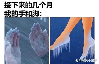 这是一张左右对比的多图拼接搞笑梗图，图片顶部配有吐槽文字“接下来的几个月我的手和脚：”，左侧展示了一双结满白霜的手，视觉上呈现出被冻僵冻透的状态；右侧是卡通风格的腿部画面，脚踝位置悬挂着长长的冰柱。整张图用极度夸张的视觉表现手法，调侃冬季气温寒冷，人们的手脚会被冻得冰凉僵硬的日常状态，生动地传递出人们在冬天里手脚受冻的真实感受，容易引发大众的共鸣，充满搞笑趣味。