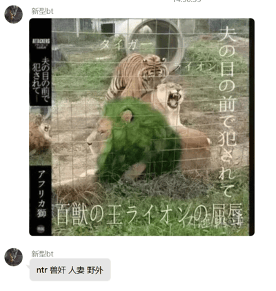 这是一张经过二次创作的静态P图，原型为动物园内老虎、狮子的实拍场景，创作者将其中一只狮子的头部修改为绿色，并添加了模仿日本成人影片（AV）封面风格的日文文字，文字内容翻译为“在丈夫面前被侵犯”“百兽之王狮子的屈辱”“老虎”“非洲狮”等，同时左上角标注了日本AV厂商“ATTACKERS”的标识。结合下方社交聊天框中用户“新型bt”标注的“ntr 兽奸 人妻 野外”标签，这张图是将动物拟人化，套用日本AV中常见的“ntr”“人妻”类低俗题材剧情，制造荒诞恶搞的梗图效果，整体风格低俗，以模仿成人内容的方式进行恶搞创作。