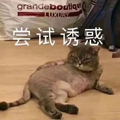 图片中一只灰色猫咪侧躺在木地板上，身体呈现放松姿态，眼神淡定地看向一侧。背景中有一个印有“grandedboutique LUXURY”字样的白色大包。图片上方覆盖着醒目的白色中文文字“尝试诱惑”，形成幽默的反差效果——猫咪看似慵懒淡定的模样与“诱惑”的文字描述产生趣味对比，营造出轻松搞笑的氛围。