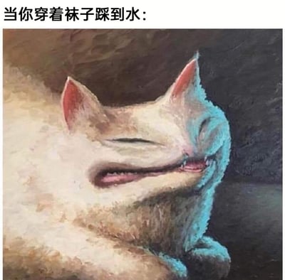 这是一张搞笑共鸣类梗图，顶部配有文字“当你穿着袜子踩到水：”，下方是一幅风格化的猫咪图像。猫咪脸部扭曲变形，眉头皱起，嘴巴咧开，露出牙齿，呈现出极度难受、烦躁又带着嫌弃的神态，身体蜷缩着，精准还原了人们穿着袜子不小心踩到水时，那种脚上传来湿黏不适感，进而产生的崩溃、烦躁的心情，用夸张的动物表情来共情日常里的小糟心事，十分贴切有趣，能引发大众对这类日常倒霉瞬间的共鸣。