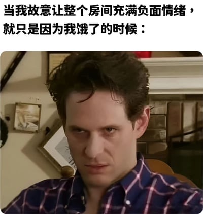 图片上方有文字“当我故意让整个房间充满负面情绪，就只是因为我饿了的时候：”，下方是一名穿着蓝红格子衬衫的男子，他表情严肃，眼神锐利，背景是带有壁炉和相框的房间。图片通过将男子严肃的表情与“饿了”这一简单原因形成对比，制造出幽默效果。