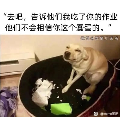 这是一张静态搞笑梗图，画面主体是一只浅黄色的狗狗，它坐在狗窝里，狗窝内散落着被撕碎的白色和绿色纸张，看起来像是被狗狗咬坏的作业。狗狗半眯着眼睛，表情显得挑衅又得意。图片上方配有模拟狗狗语气的文字：“去吧，告诉他们我吃了你的作业，他们不会相信你这个蠢蛋的。”，用一种戏谑的方式调侃了学生或上班族没完成作业/工作时，试图把责任推给宠物却不会被相信的尴尬处境，通过狗狗的挑衅姿态和文字内容制造出滑稽的喜剧效果。