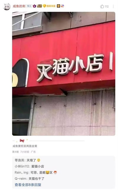 这是一张网友实拍的店铺招牌图，原本的“天猫小店”因“天”字的顶部装饰脱落，视觉上变成了“灭猫小店”，形成了和原意反差极大的搞笑效果。图片发布在论坛社区后，网友们在评论区纷纷玩梗调侃，比如“天塌了”“爱猫小店”“天猫也干了”等，充满趣味的互动让这个视觉错误成为搞笑的话题。
视觉梗说明：招牌字的损坏导致“天”字形似“灭”字，产生了与原品牌完全相反的搞笑解读。