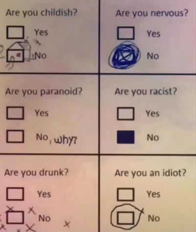 图片为3x2网格布局的趣味调查问卷，共包含6个问题：'Are you childish?', 'Are you nervous?', 'Are you paranoid?', 'Are you racist?', 'Are you drunk?', 'Are you an idiot?'。每个问题下方均有'Yes'和'No'两个复选框，但'No'选项均被恶搞篡改：第一个问题的'No'旁画了小房子简笔画；第二个的'No'被蓝色乱涂覆盖；第三个的'No'复选框旁写着'No, why?'；第四个的'No'复选框被黑色填满；第五个的'No'复选框周围画满X标记；第六个的'No'复选框被圆圈住并打叉。通过对'No'选项的不一致、不严肃处理，形成幽默效果，暗示受访者在回避诚实回答'No'。