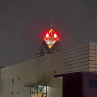 蟑螂